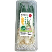 にんにくスプラウト 5本入 〔35ｇ〕 伊左衛門 ファーム